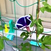 【体調不良で】体に効くことと削ること。