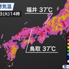 今日の最高気温