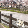 きみの前世は魚か鳥か