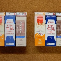 鉄乳パック ペーパークラフト型紙の配信を始めました 東海道 山陽三十五次 鉄乳パック ペーパークラフト型紙の配信を始めました 東海道 山陽三十五次