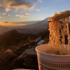 2019年1月26日　金時山(公時神社登山口)