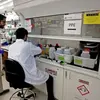 米国、動物との接触がない初めての鳥インフルエンザ感染例を確認