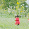 パラグアイと日本の子育て事情を比較してみた