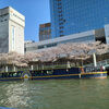 【大阪】水陸両用バスに乗り、流れる川から桜を愛でる