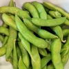 夏のお野菜