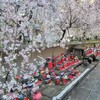 【京都】『六角堂』に行ってきました。京都桜　