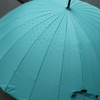 雨の季節に傘を買う