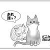 出窓の猫