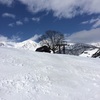 ねっとり雪 八方5