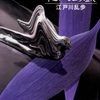 明智小五郎も精神的敗北しかけた、前代未聞の異常犯人出現！-『化人幻戯』
