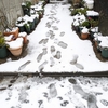 もう雪は御免です