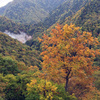 平湯～安房峠（旧道）～上高地 往復　42.15km