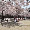 初めての幼稚園選びのポイント　給食、徒歩通園、課外授業など。親の出番は少ないほうがいいの？