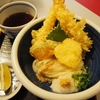 おか泉の超看板メニュー「ひや天おろし」は口にものどにも優しかった