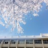 9月入学をすすめるのはなぜか?本当の理由に迫る