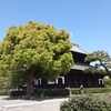 京都ぶらり　建仁寺　両足院