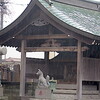 雨の妙典の寺町の情景ほか。。＆江戸川区の猫さま３
