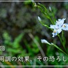 Volume 1184: 'The effects of attunement, the horror of it', 4 Apr 2024 [Daily Tube Chief Diary and Breath Meditation].