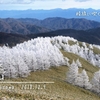 南沢山・横川山 － 一面のカラマツ霧氷、モノクロの冬景色を歩く