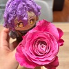 新しくお迎えしたお花