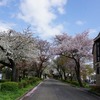 2023/03/29 小金井公園