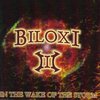 BILOXI　III - IN THE WAKE OF THE STORM