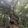 許そうとした自分を愛することから、はじめよう。