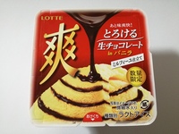 ロッテ「爽」とろける生チョコレートは、爽快なチョコバニラ。めちゃくちゃ美味しい！