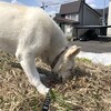 春なのに、寒いね〜