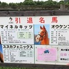 【マイネルキッツ】が仲間入り！うらかわ優駿ビレッジAERUで引退名馬たちと触れ合ってきました