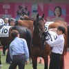 【一口馬主／ベイステート】決戦の地は福島！