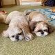 久しぶりの頂上からの景色