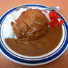 かしわや 綱島店／かつカレー　480円