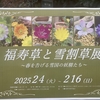 転倒ランまで