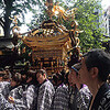 鳥越神社祭り