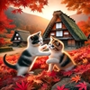 秋彩に遊ぶ猫たち 〜茅葺きの里でのひととき〜