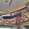 爽やかな風をきって
