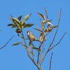 秋晴れの平和公園を歩く