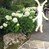 夏休み おすすめ 箱根旅行 強羅公園
