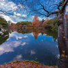 晩秋の高岡古城公園