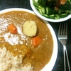  チキンカレー