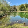 牛池（群馬県嬬恋）