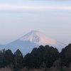 今朝の景色