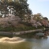 桜と城の伊予旅行・その３