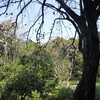 秋深まる平和公園の里山