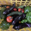 夏野菜の魅力と足の怪我