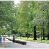 水元公園