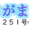 南区の情報誌『さがまち』251号です ‼ (2025/7/5)