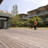 庭の草刈り　昼休みにダンス　クマバチ　カジイチゴ