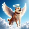 仮想通貨アイコンの象徴Kabosu（かぼすちゃん）、Dogeミームの犬17歳で死去